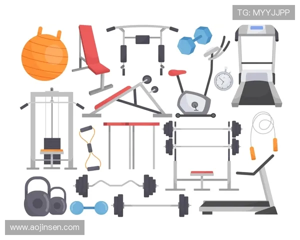 高端健身器材选购指南：设计、功能与品牌全面比较